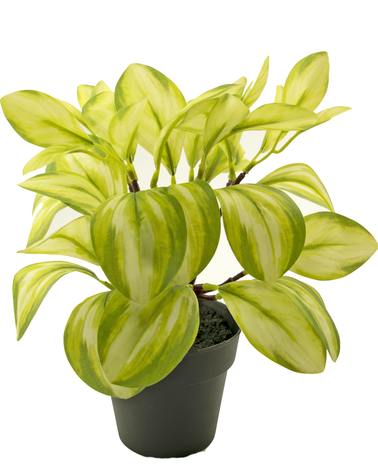 Kunstplant Rohdea 28 cm groen
