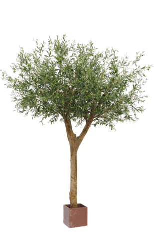 Kunst Olijvenboom met olijven 260 cm
