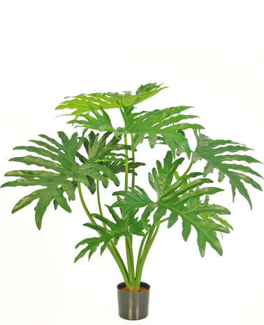 Greenmoods Kunstplant Philodendron 80 cm