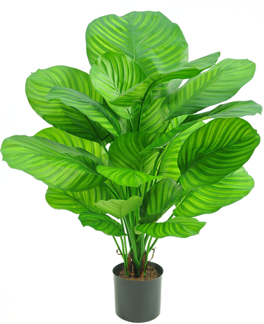 Greenmoods Kunstplant Calathea 72 cm