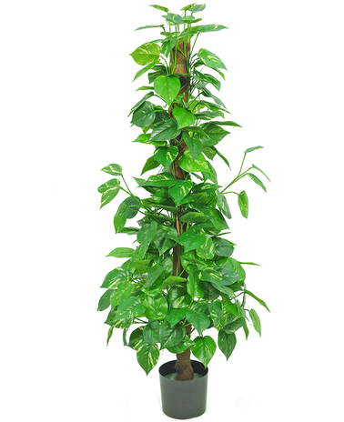 Greenmoods Kunstplant Pothos 150 cm