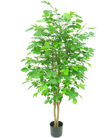 Greenmoods Kunstplant Carpinus 150 cm