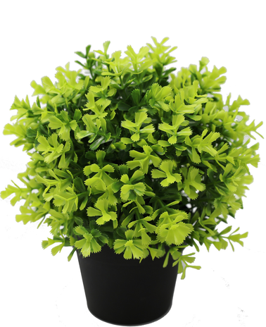 Greenmoods Kunstplant Rozemarijn 22 cm UV
