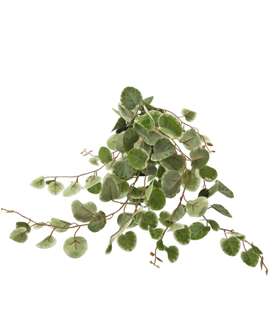 Greenmoods Kunstplant Ceropegia 15 cm