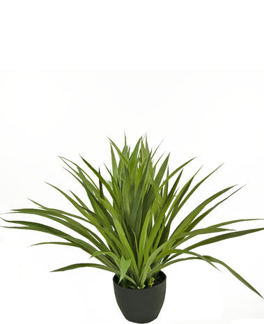 Greenmoods Kunst Vetplant 40 cm in sierpot zwart