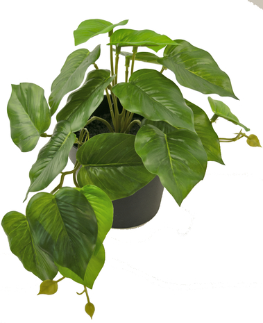 Greenmoods Kunstplant Scindapsus 25 cm