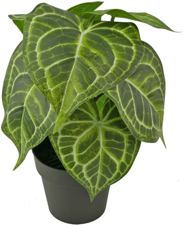 Greenmoods Kunstplant Anthurium 25 cm