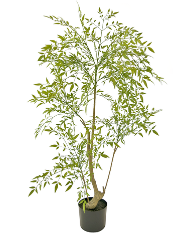 Greenmoods Kunstplant Ruscus 120 cm