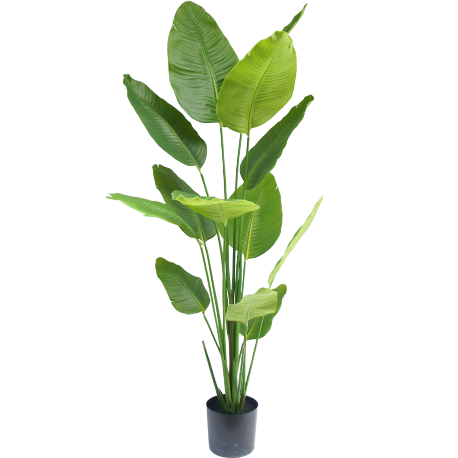 Greenmoods Kunstplant Strelitzia 180 cm real touch