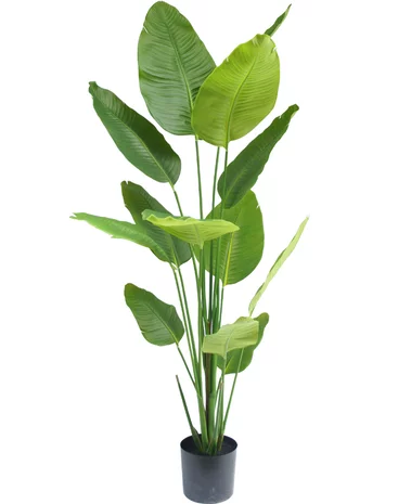 Greenmoods Kunstplant Strelitzia 180 cm real touch
