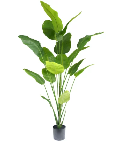 Greenmoods Kunstplant Strelitzia 210 cm real touch