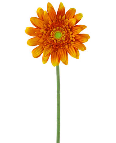 Greenmoods Kunstbloem Gerbera 53 cm oranje