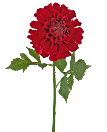 Greenmoods Kunstbloem Dahlia 50 cm rood