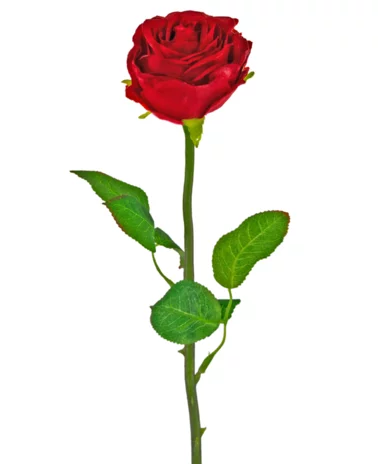 Greenmoods Kunstbloem Roos Klassiek 55 cm rood