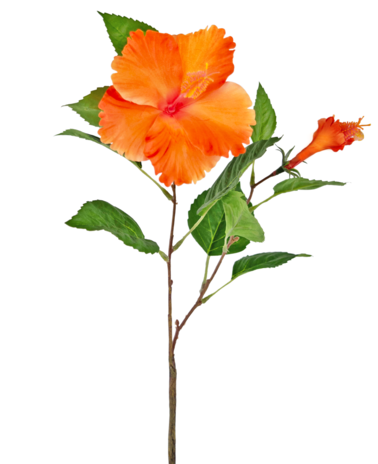 Greenmoods Kunstbloem Hibiscus 64 cm oranje
