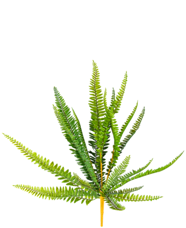 Greenmoods Kunstplant Varen 55 cm
