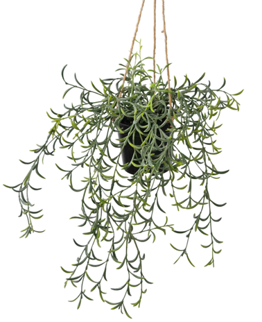 Kunst hangplant Senecio met pot 35 cm