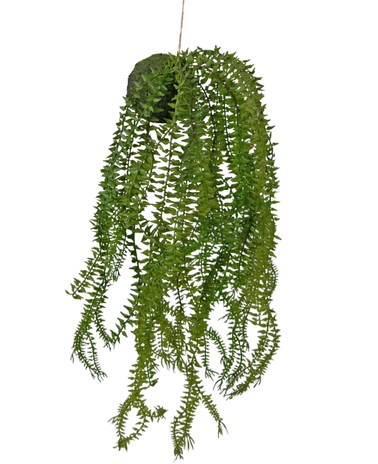 Greenmoods Kunst hangplant Phlegmariurus bal 50 cm
