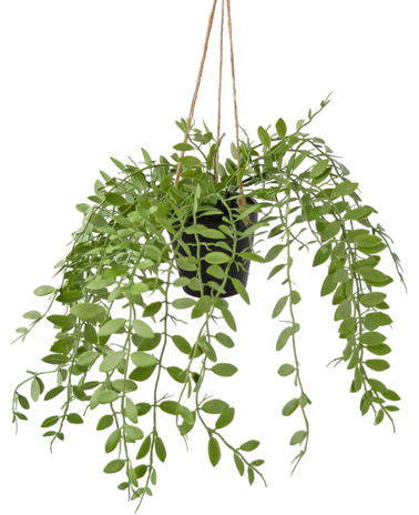 Greenmoods Kunst hangplant Pumila in pot 30 cm