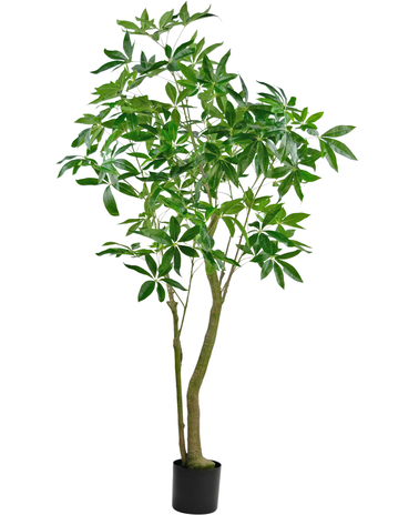 Greenmoods Kunstplant Pachira 180 cm