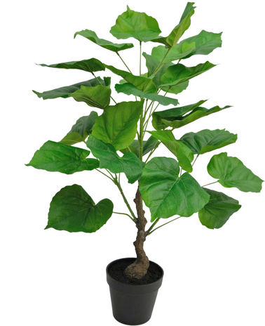 Kunstplant Ficus 60 cm