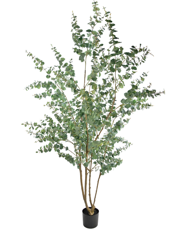 Greenmoods Kunstplant Eucalyptus 240 cm