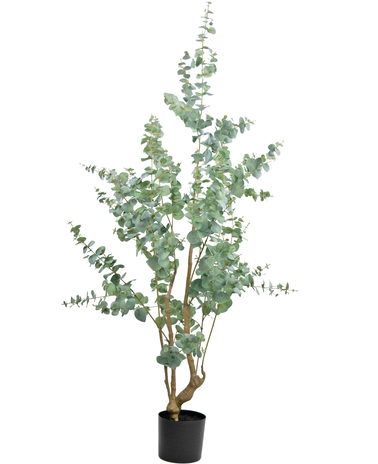 Greenmoods Kunstplant Eucalyptus 180 cm