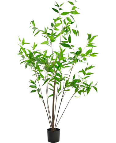 Greenmoods Kunstplant Angophora 180 cm