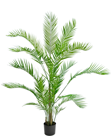 Greenmoods Kunstplant Chamaedorea 150 cm