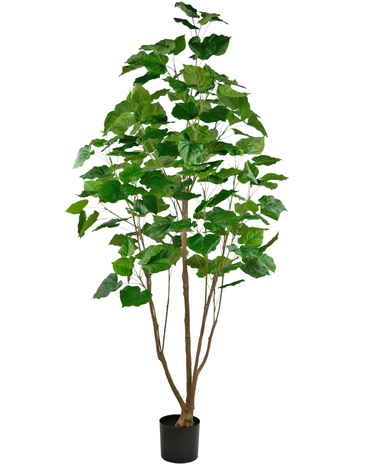 Greenmoods Kunstplant Ficus 210 cm