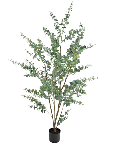 Greenmoods Kunstplant Eucalyptus 210 cm