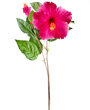 Greenmoods Kunstbloem Hibiscus 64 cm roze