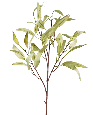 Kunsttak Eucalyptus Niphophila 100 cm groen