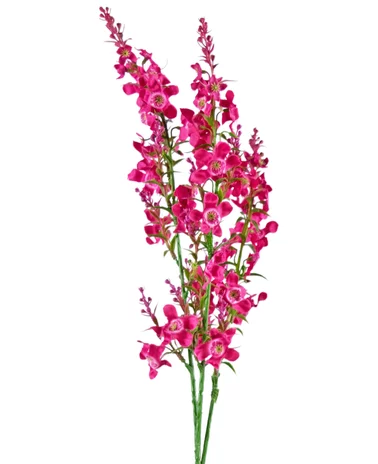 Greenmoods Kunstbloem Kattenkruid 75 cm roze