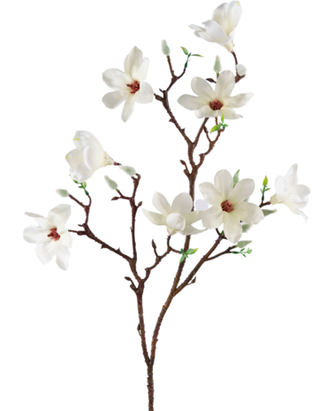 Kunsttak Magnolia kleinbloemig 89 cm wit