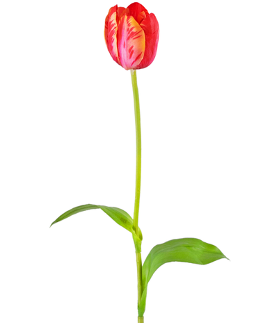 Kunstbloem Franse Tulp 60 cm rood