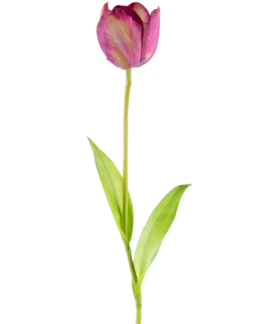 Greenmoods Kunstbloem Franse Tulp 60 cm paars