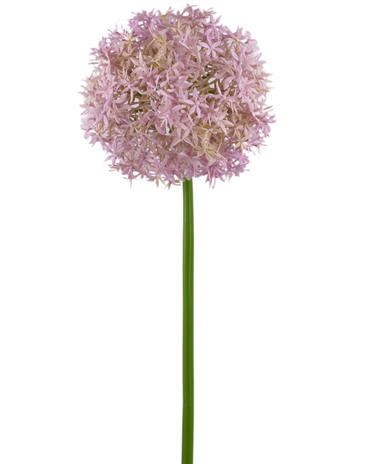 Greenmoods Kunstbloem Allium Groot 80 cm paars