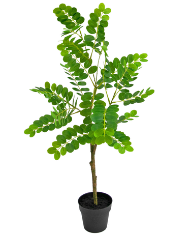 Kunstplant Robinia 60 cm