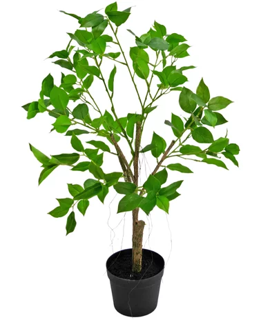 Greenmoods Kunstplant Ficus Henryi 60 cm