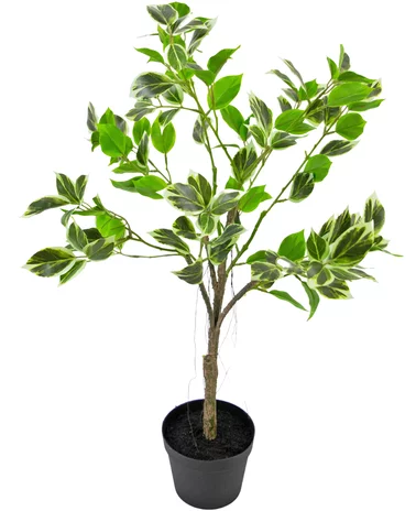 Greenmoods Kunstplant Ficus Henryi 60 cm groen/wit