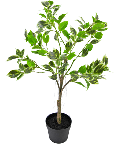 Kunstplant Ficus Henryi 60 cm groen/wit