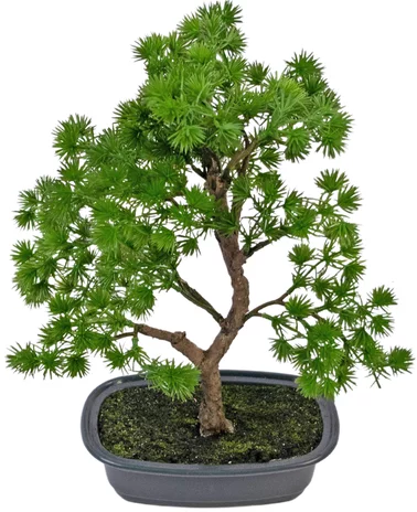 Greenmoods Kunstplant Bonsai Juniper 30 cm