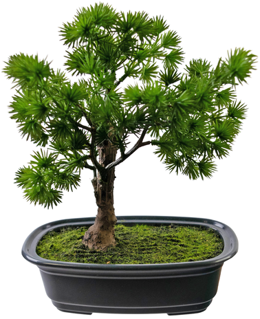 Greenmoods Kunstplant Bonsai Juniper 20 cm