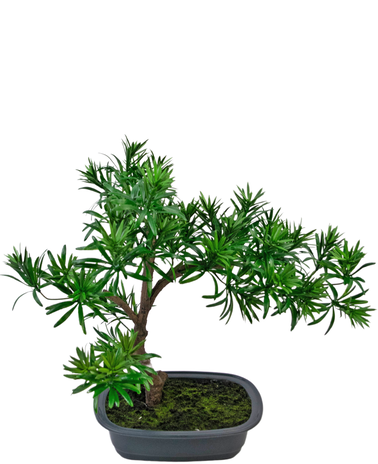 Greenmoods Kunstplant Bonsai Podocarpus 40 cm