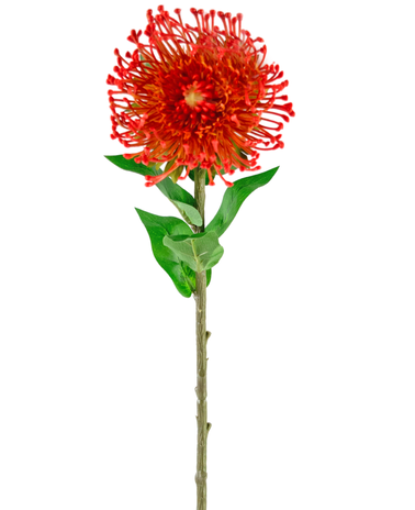 Kunstbloem Protea 73 cm rood