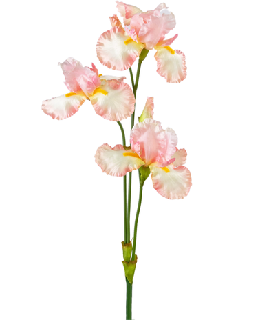 Greenmoods Kunstbloem Iris 102 cm licht roze