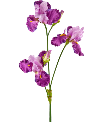 Greenmoods Kunstbloem Iris 102 cm paars