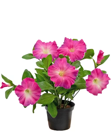 Greenmoods Kunstbloem Petunia plant 25 cm donker roze