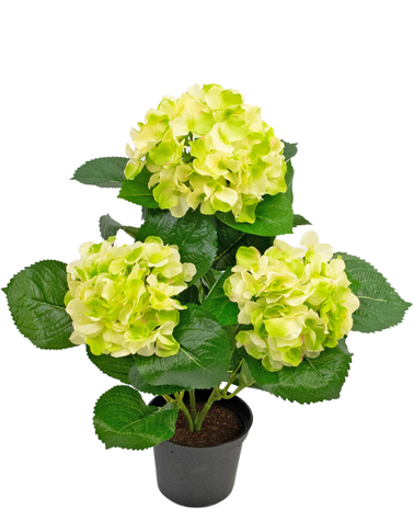 Greenmoods Kunstplant Hortensia Groen 35 cm